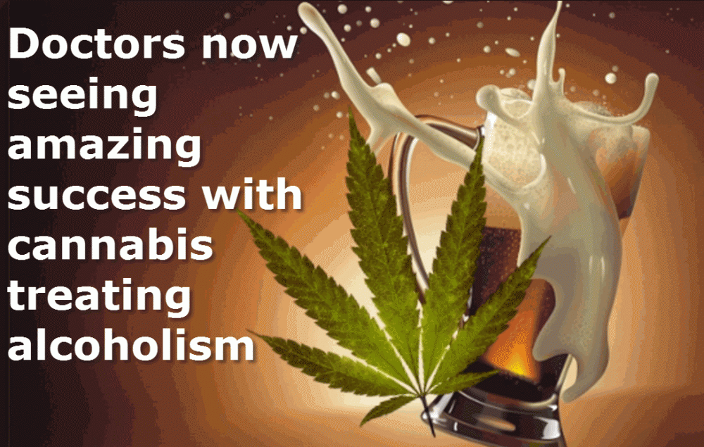 alcoholism and cannabis